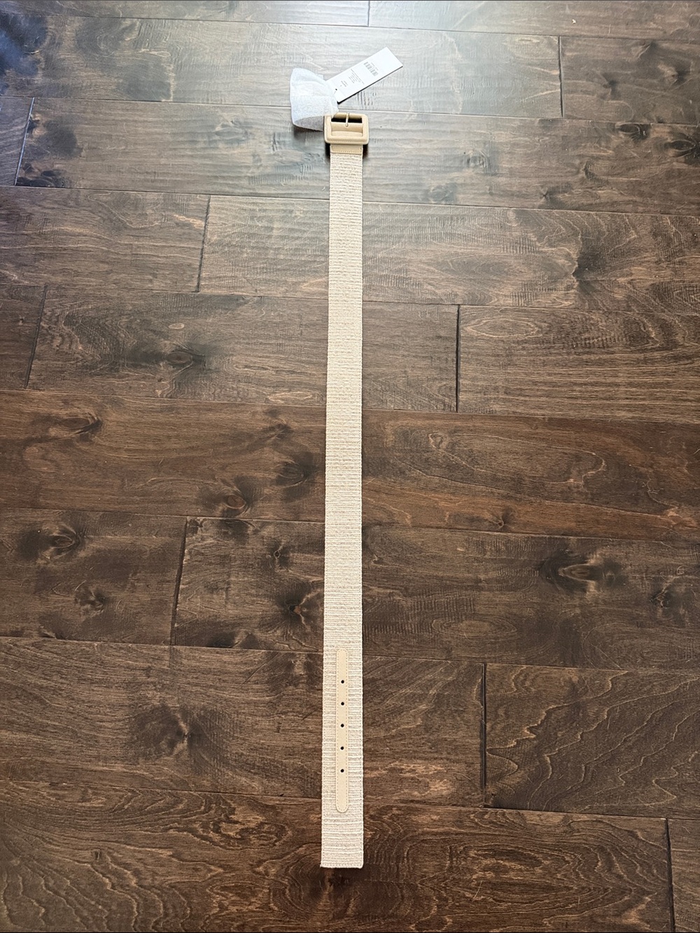 NWT Etcetera Raffia Belt with Square Buckle